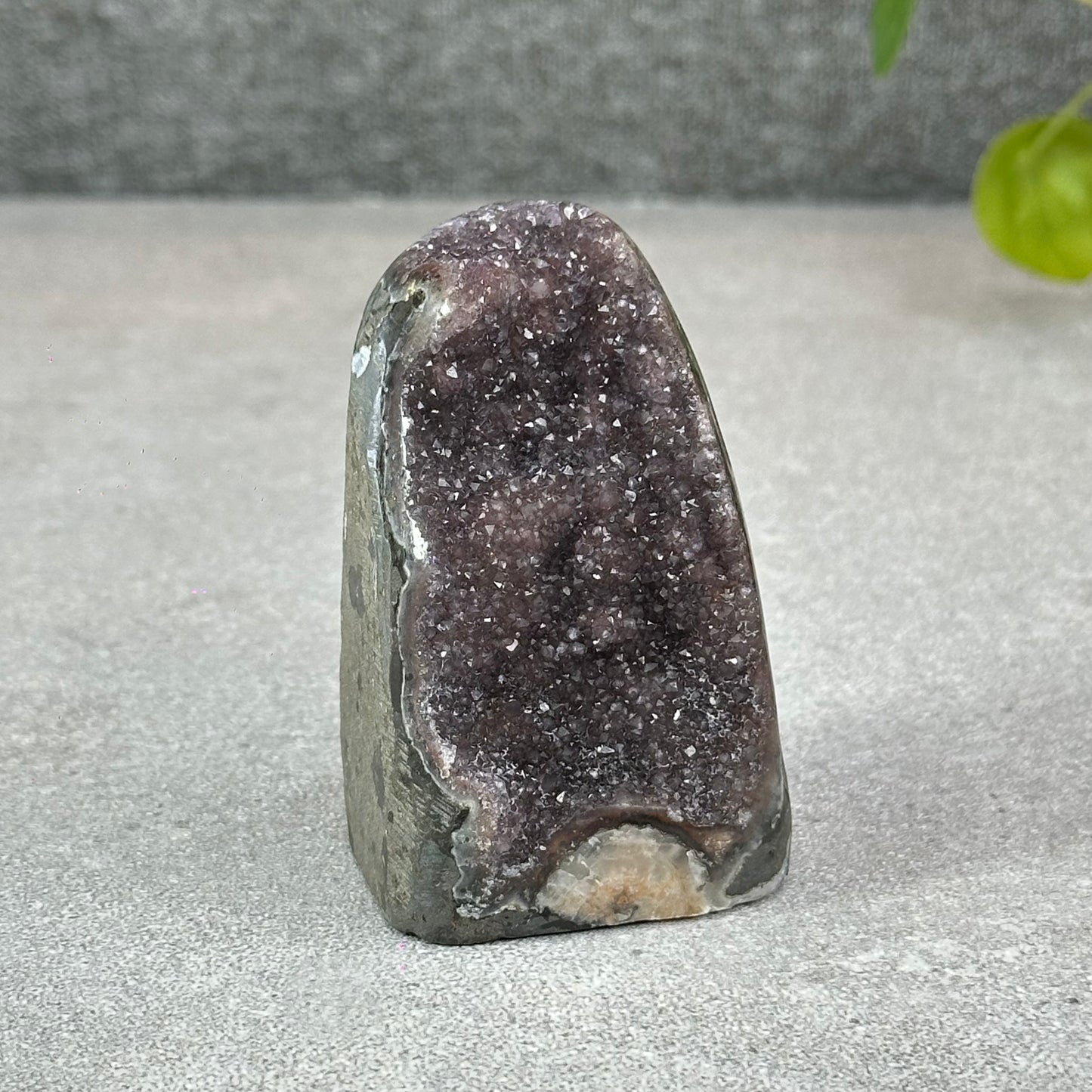 Polished Natural  Bi-Colour Amethyst Cut Base