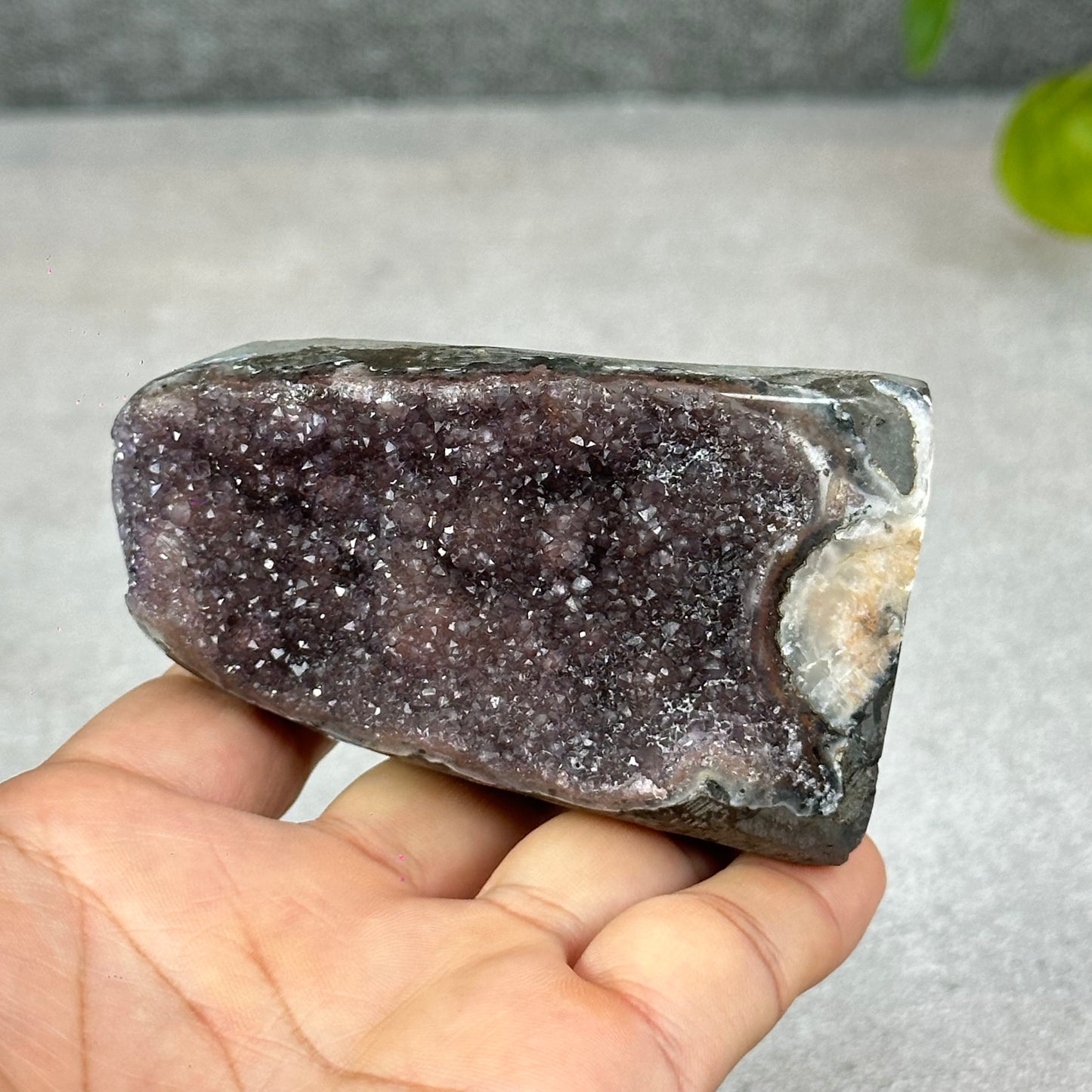 Polished Natural  Bi-Colour Amethyst Cut Base