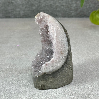Polished Natural  Bi-Colour Amethyst Cut Base