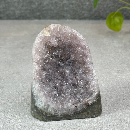 Polished Natural  Bi-Colour Amethyst Cut Base