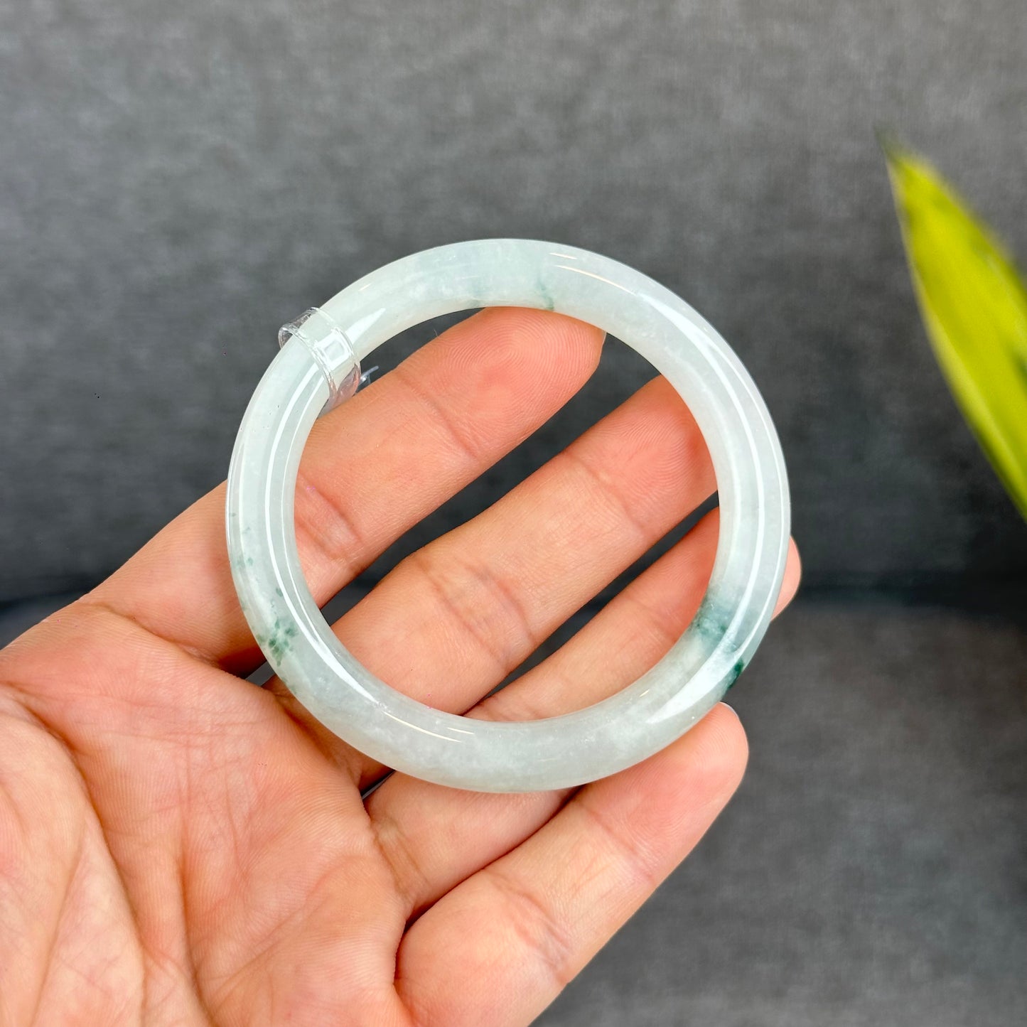 Natural Floating Floral Moss Green Semi Translucent Jadeite Jade VIP Bangle Chopstick Style Size 53 mm