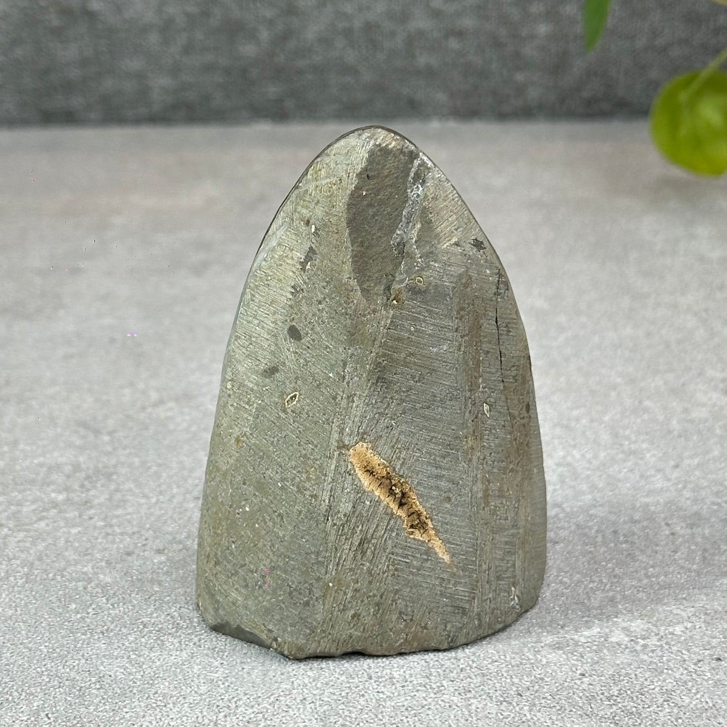Polished Natural  Bi-Colour Amethyst Cut Base