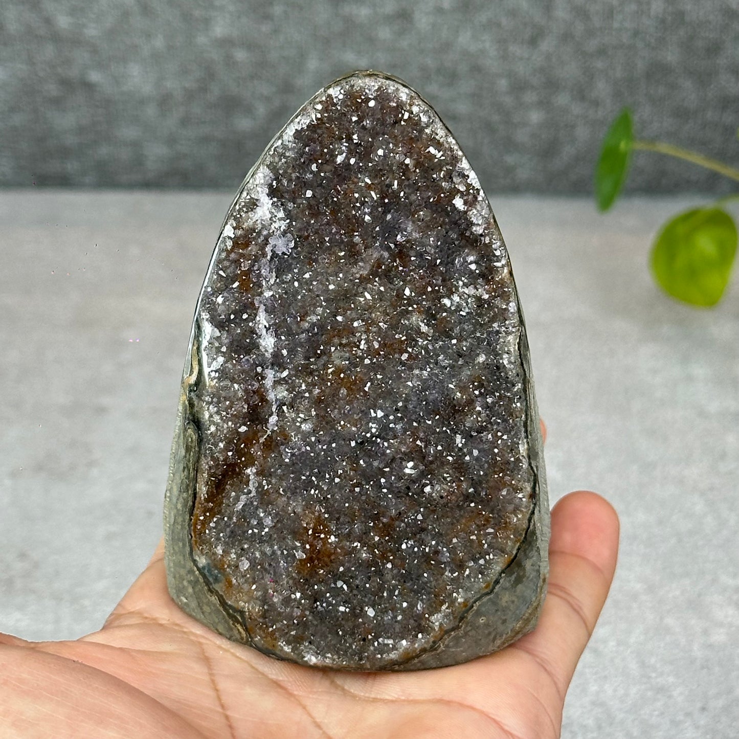 Polished Natural  Bi-Colour Amethyst Cut Base