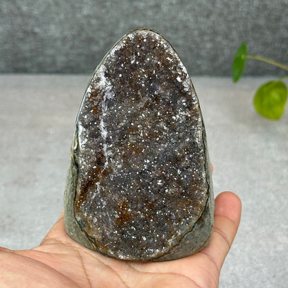 Polished Natural  Bi-Colour Amethyst Cut Base