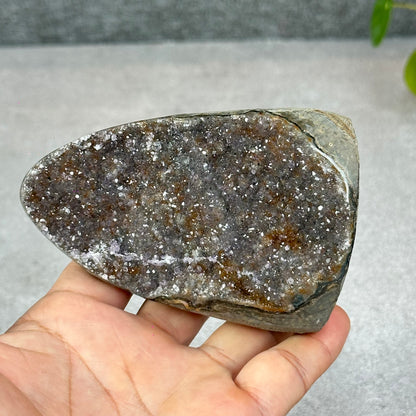 Polished Natural  Bi-Colour Amethyst Cut Base