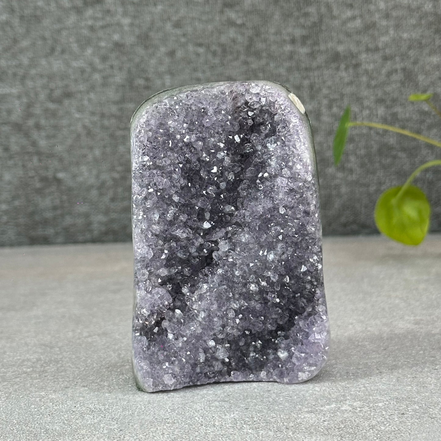 Polished Natural  Bi-Colour Amethyst Cut Base