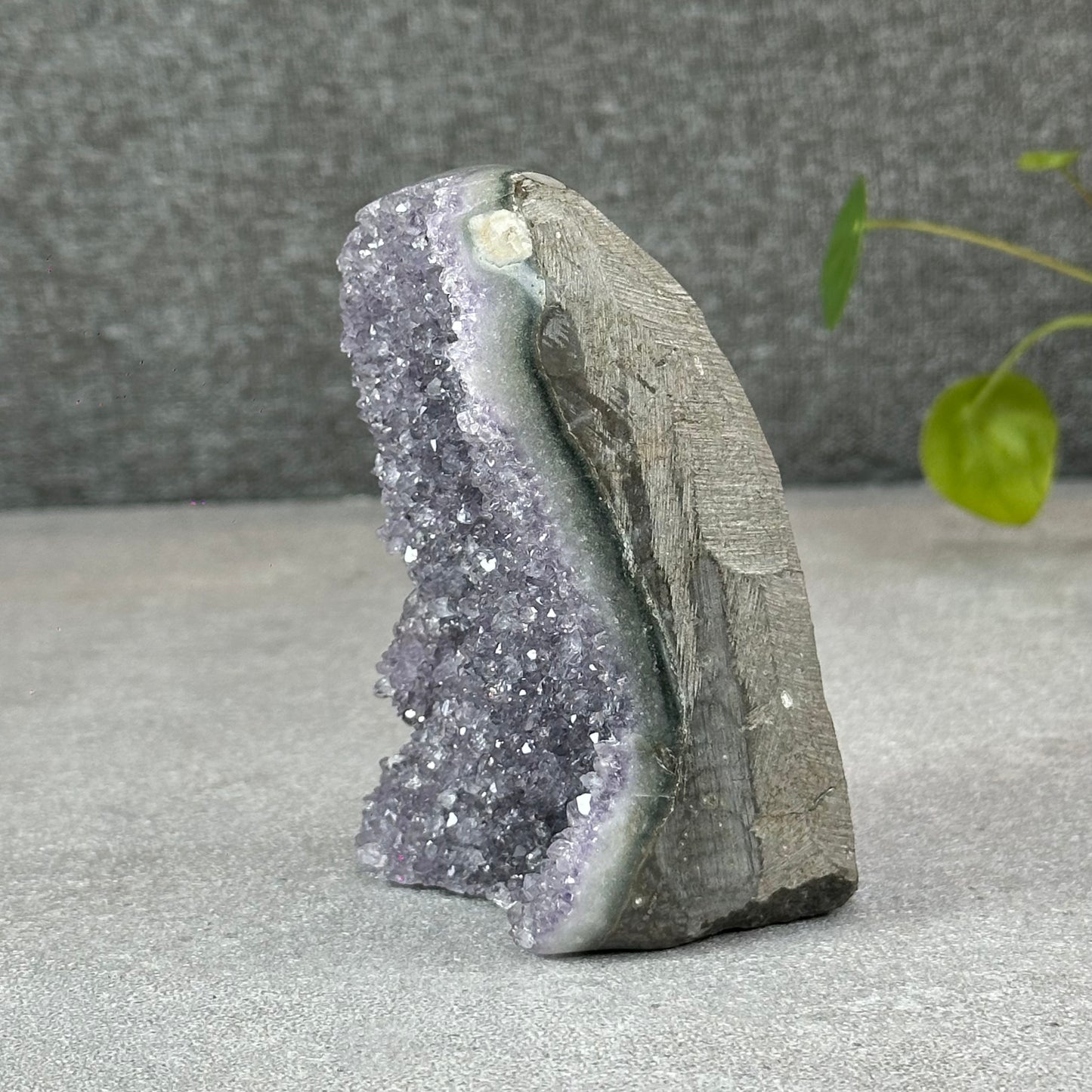 Polished Natural  Bi-Colour Amethyst Cut Base