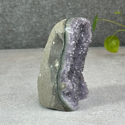 Polished Natural  Bi-Colour Amethyst Cut Base