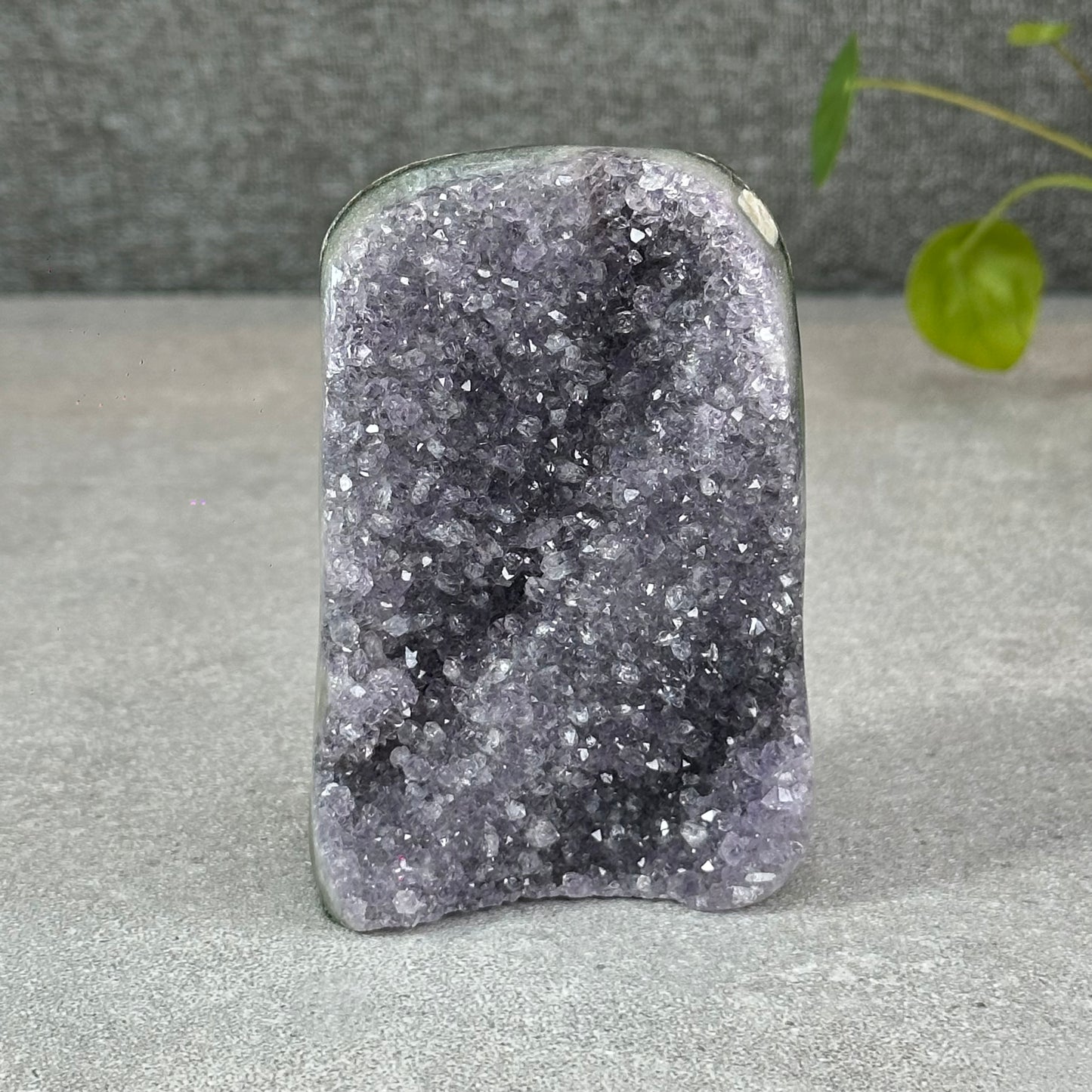 Polished Natural  Bi-Colour Amethyst Cut Base