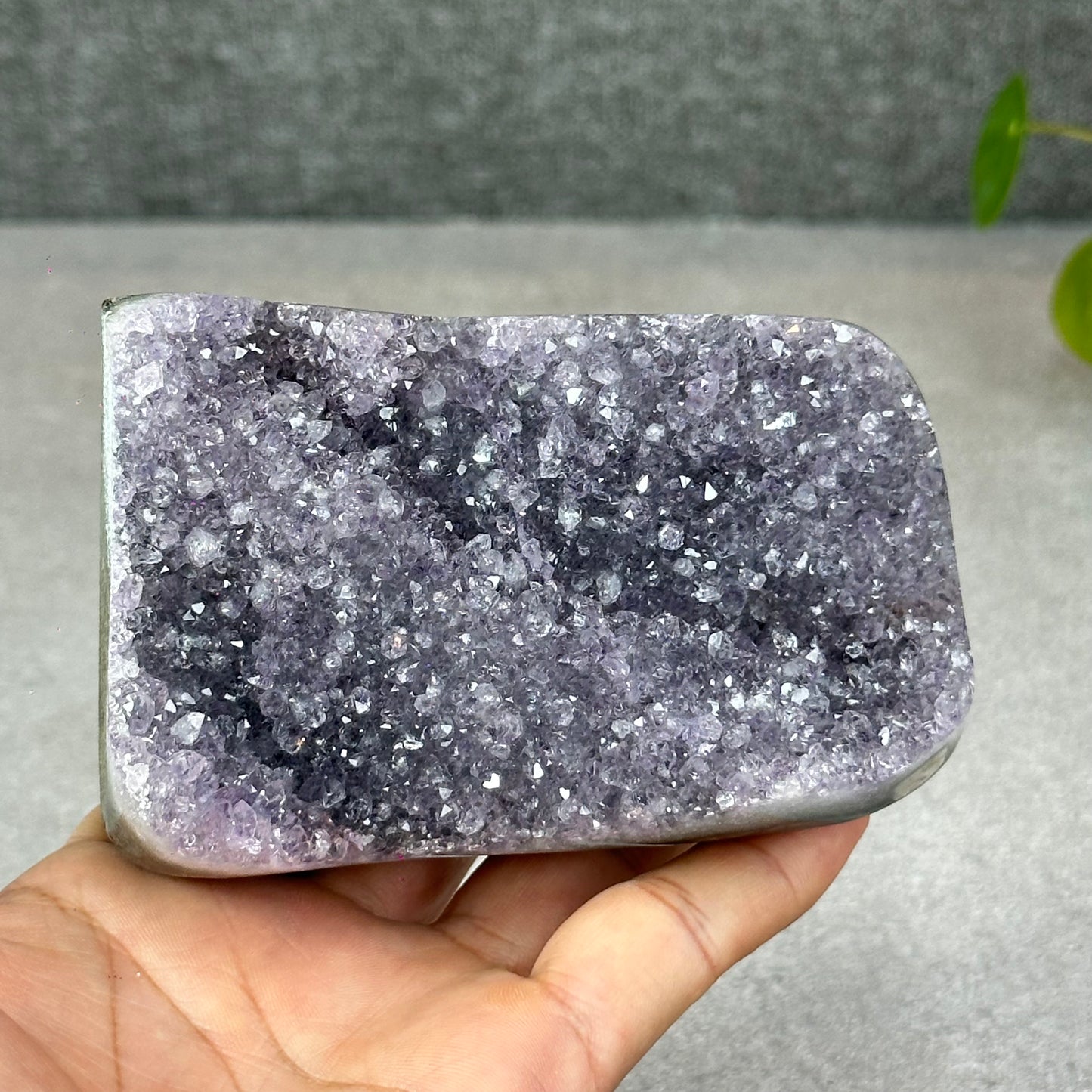 Polished Natural  Bi-Colour Amethyst Cut Base