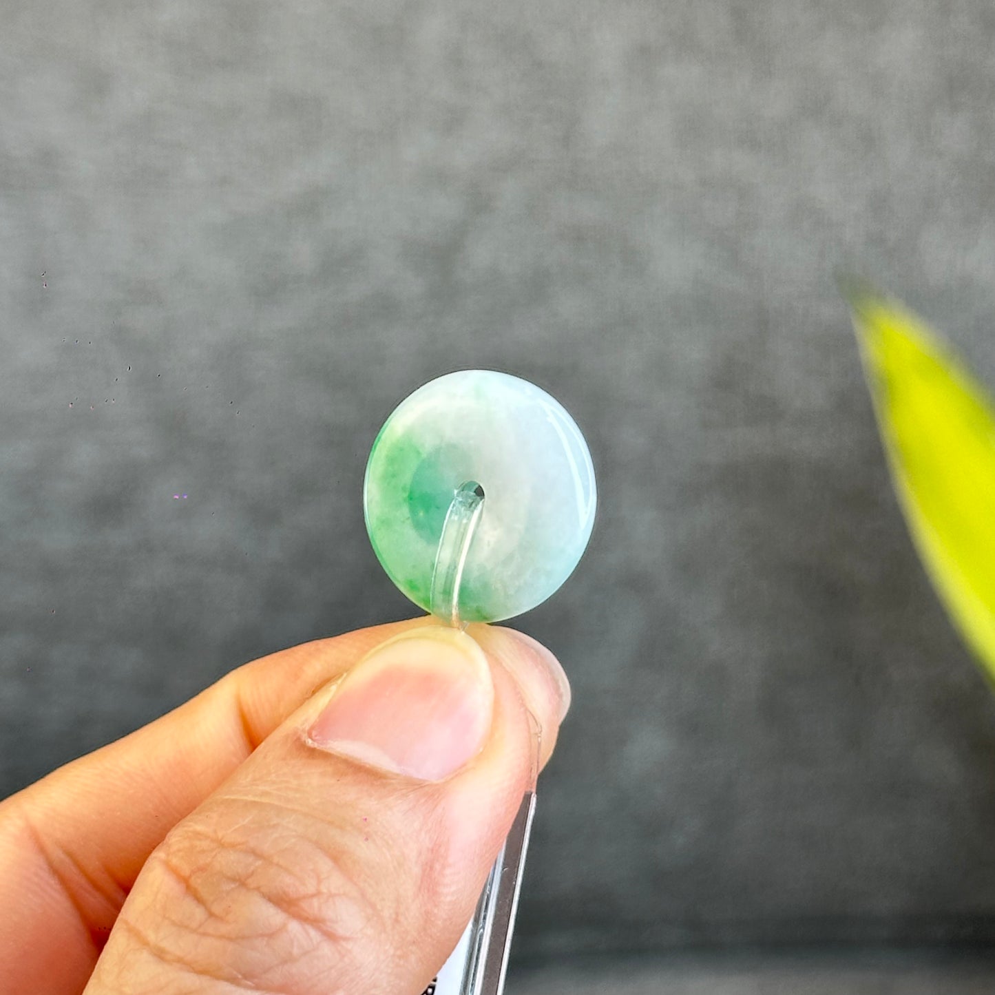 Natural Bright Apple Green Dong Dieu Jadeite Jade Type A Donut
