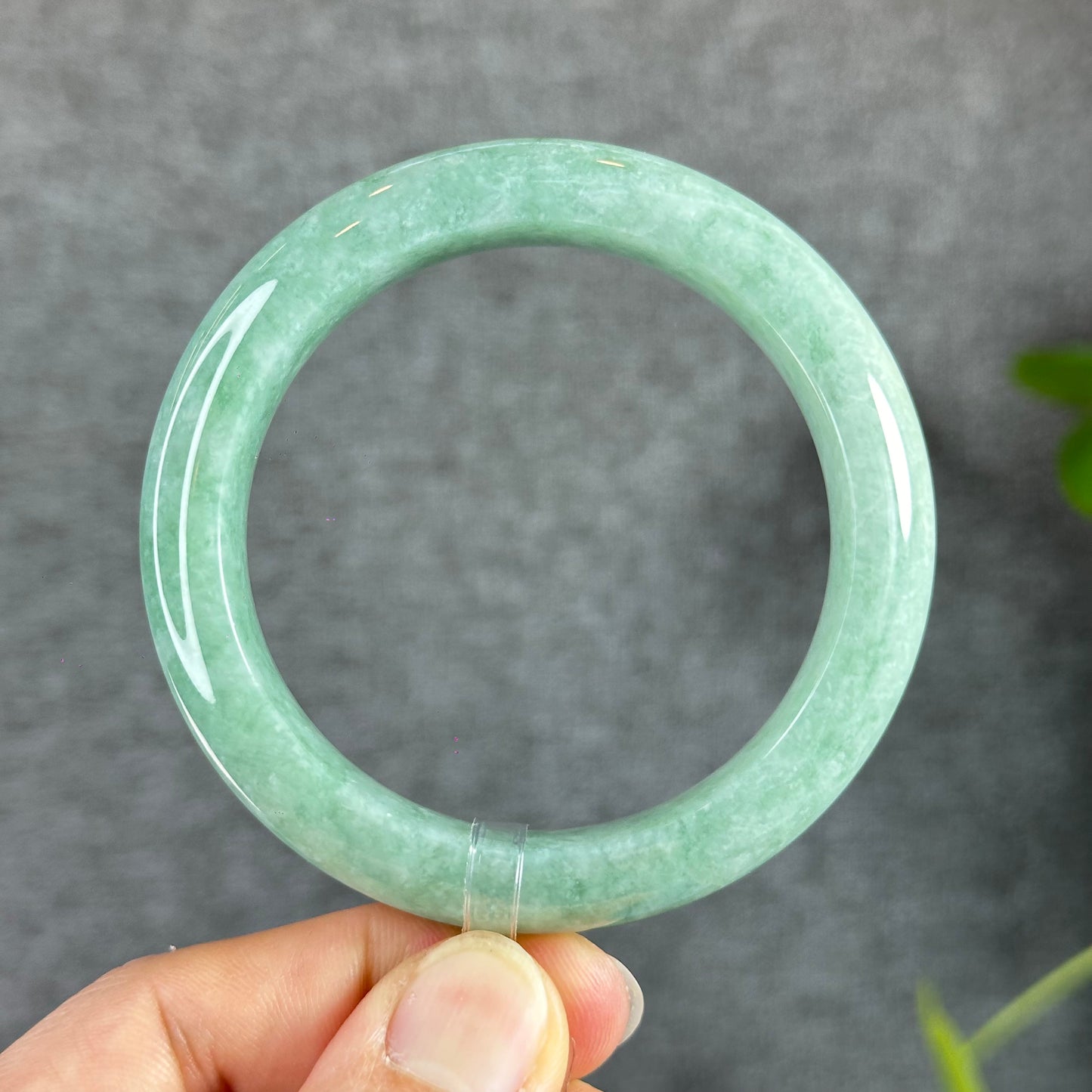 Light Green Jadeite Jade Bangle Leaf Style Size 56.2 mm