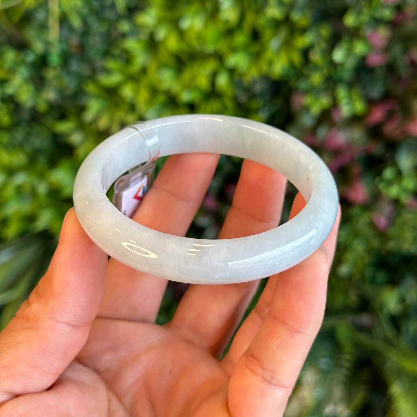 Natural Light Green Semi Translucent Jadeite Jade Bangle Leaf Style Size 58.5 mm