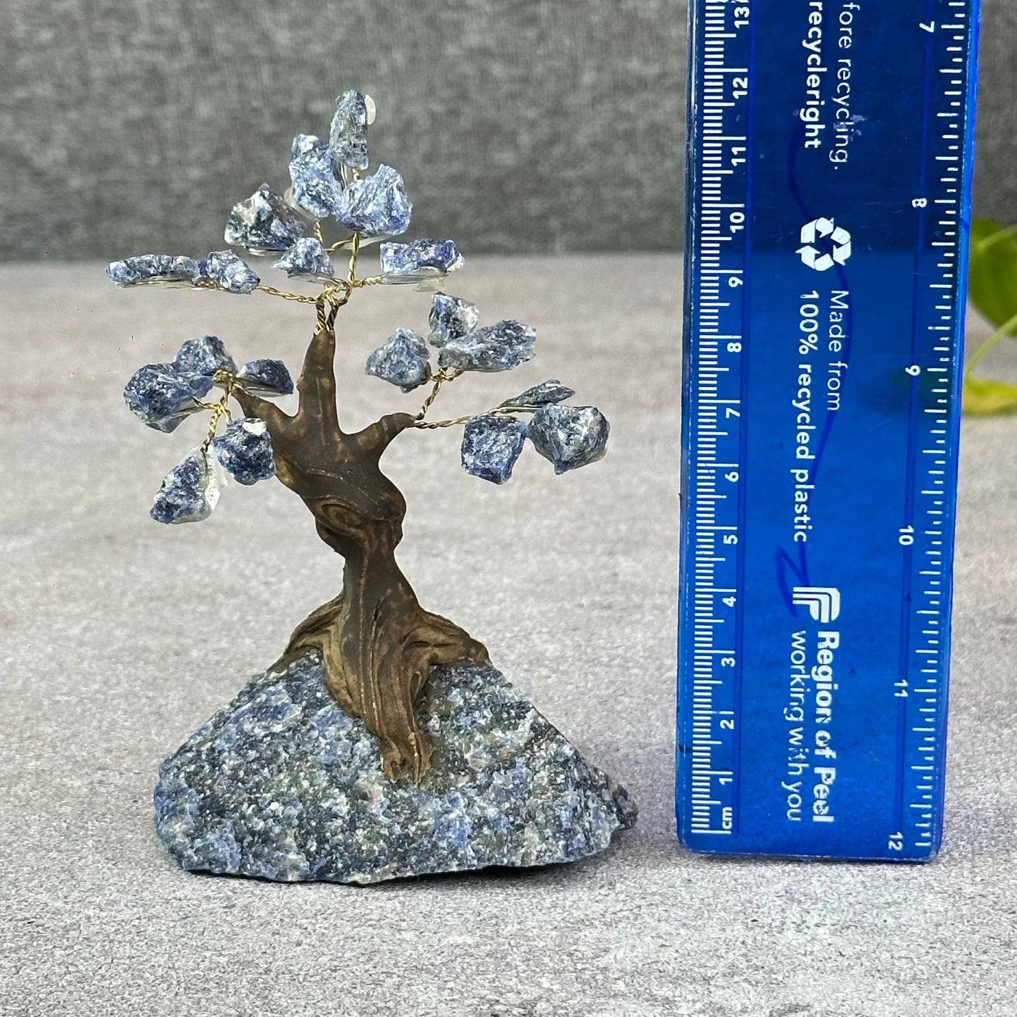 Natural Sodalite Bonsai Tree with Sodalite Base
