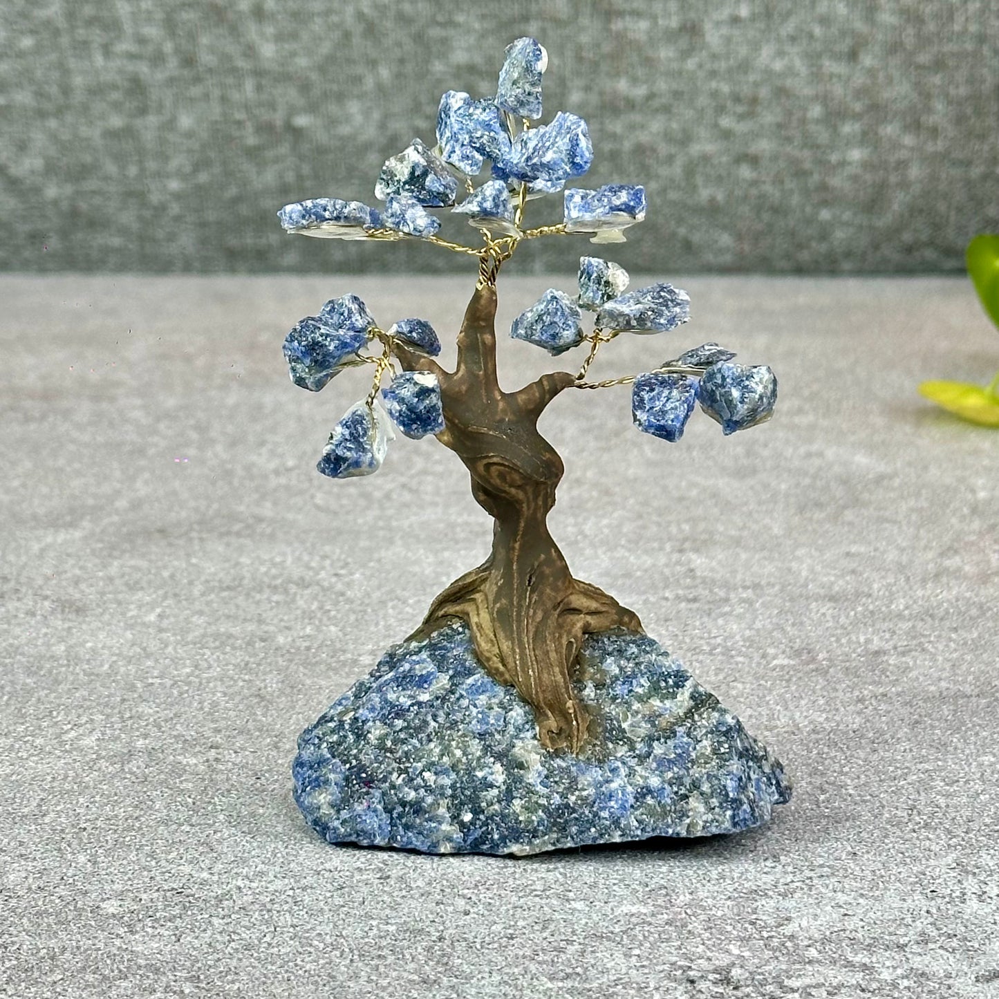 Natural Sodalite Bonsai Tree with Sodalite Base