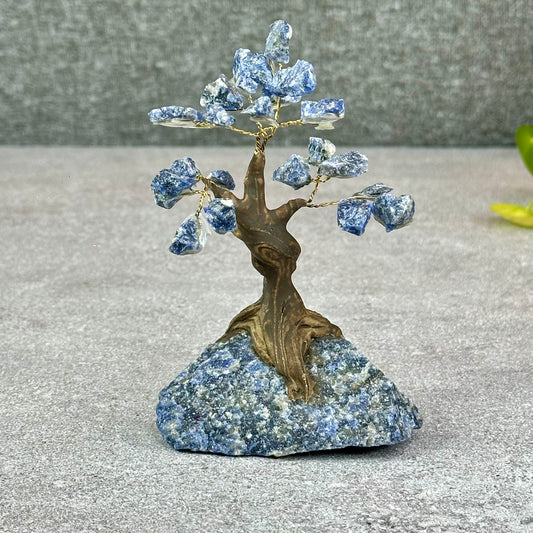 Natural Sodalite Bonsai Tree with Sodalite Base