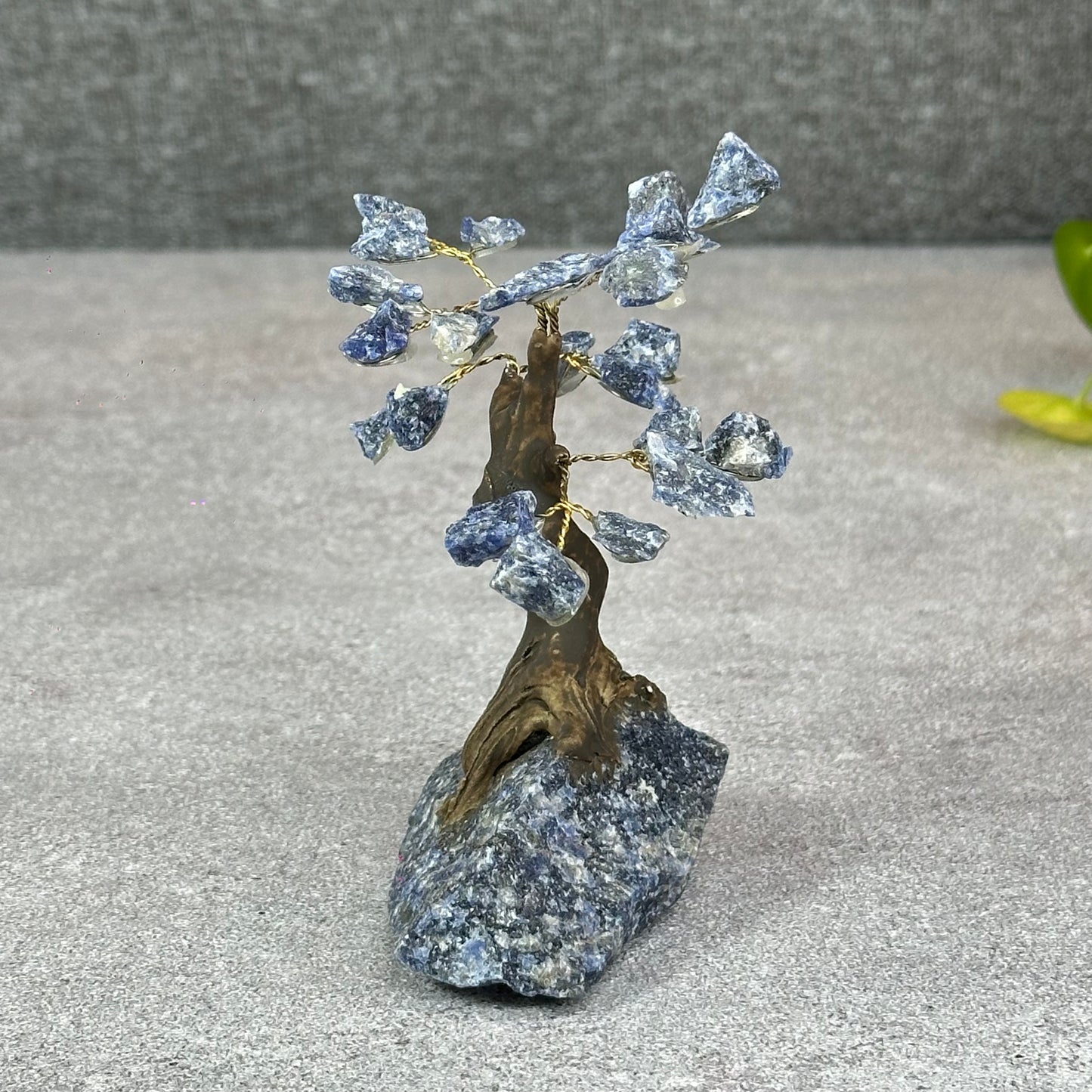 Natural Sodalite Bonsai Tree with Sodalite Base