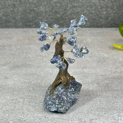 Natural Sodalite Bonsai Tree with Sodalite Base