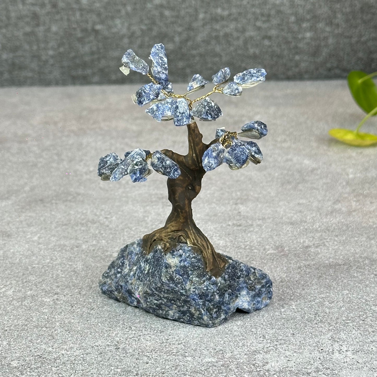 Natural Sodalite Bonsai Tree with Sodalite Base