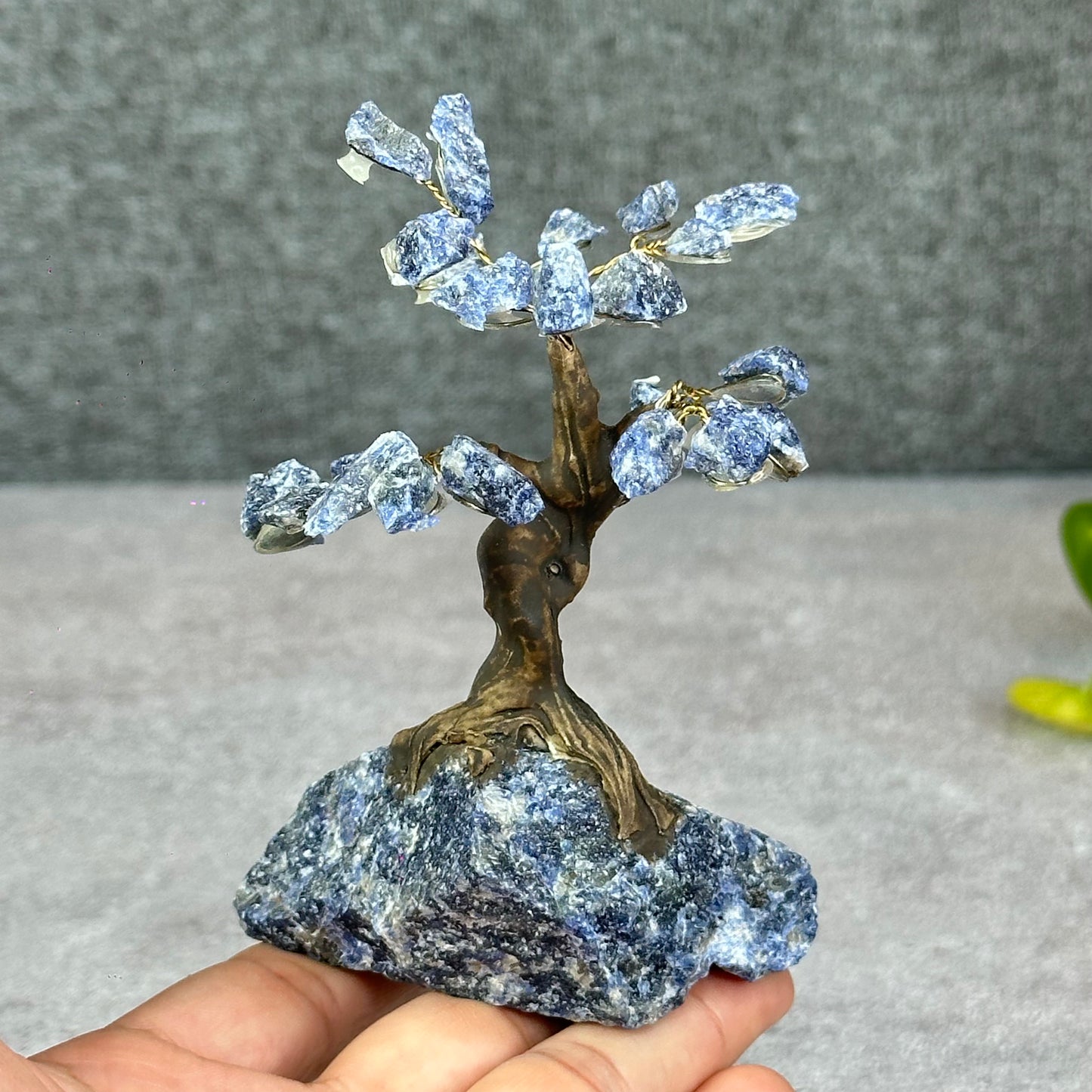 Natural Sodalite Bonsai Tree with Sodalite Base