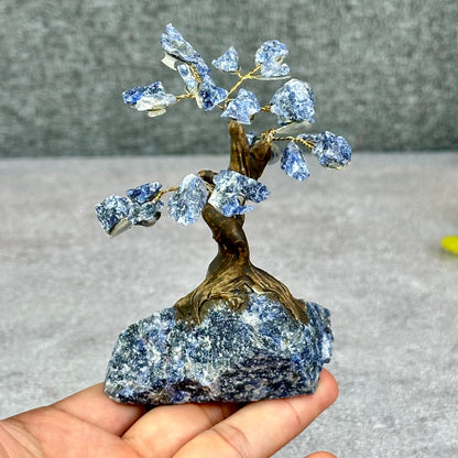 Natural Sodalite Bonsai Tree with Sodalite Base