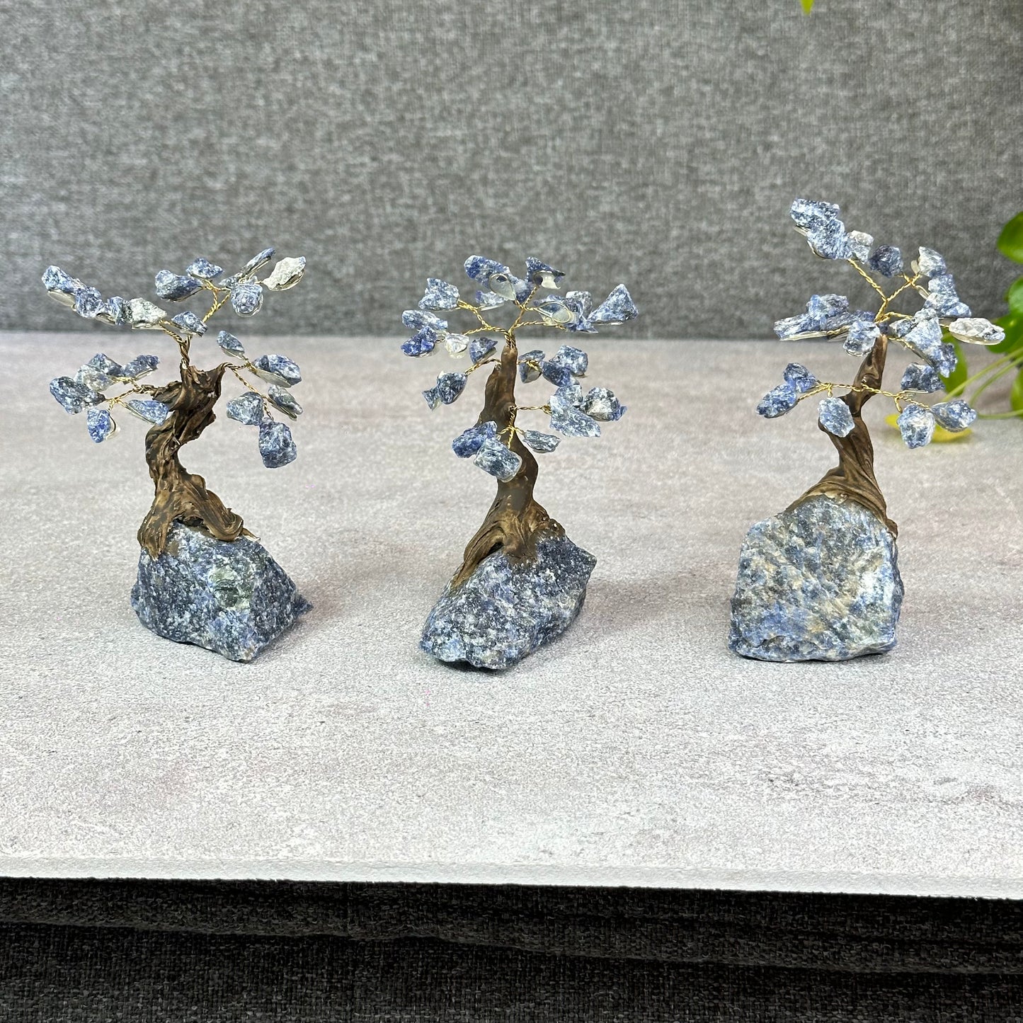 Natural Sodalite Bonsai Tree with Sodalite Base