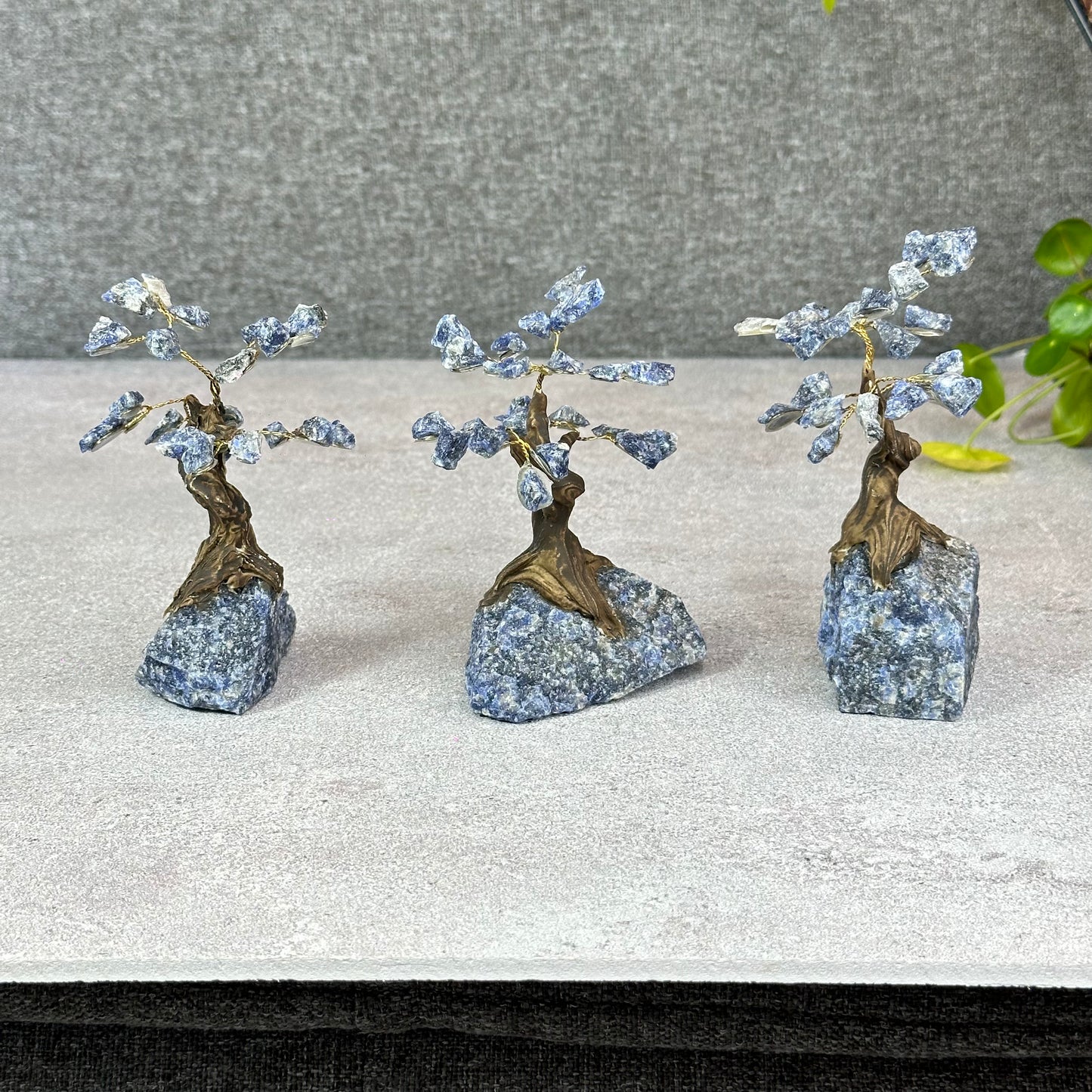 Natural Sodalite Bonsai Tree with Sodalite Base