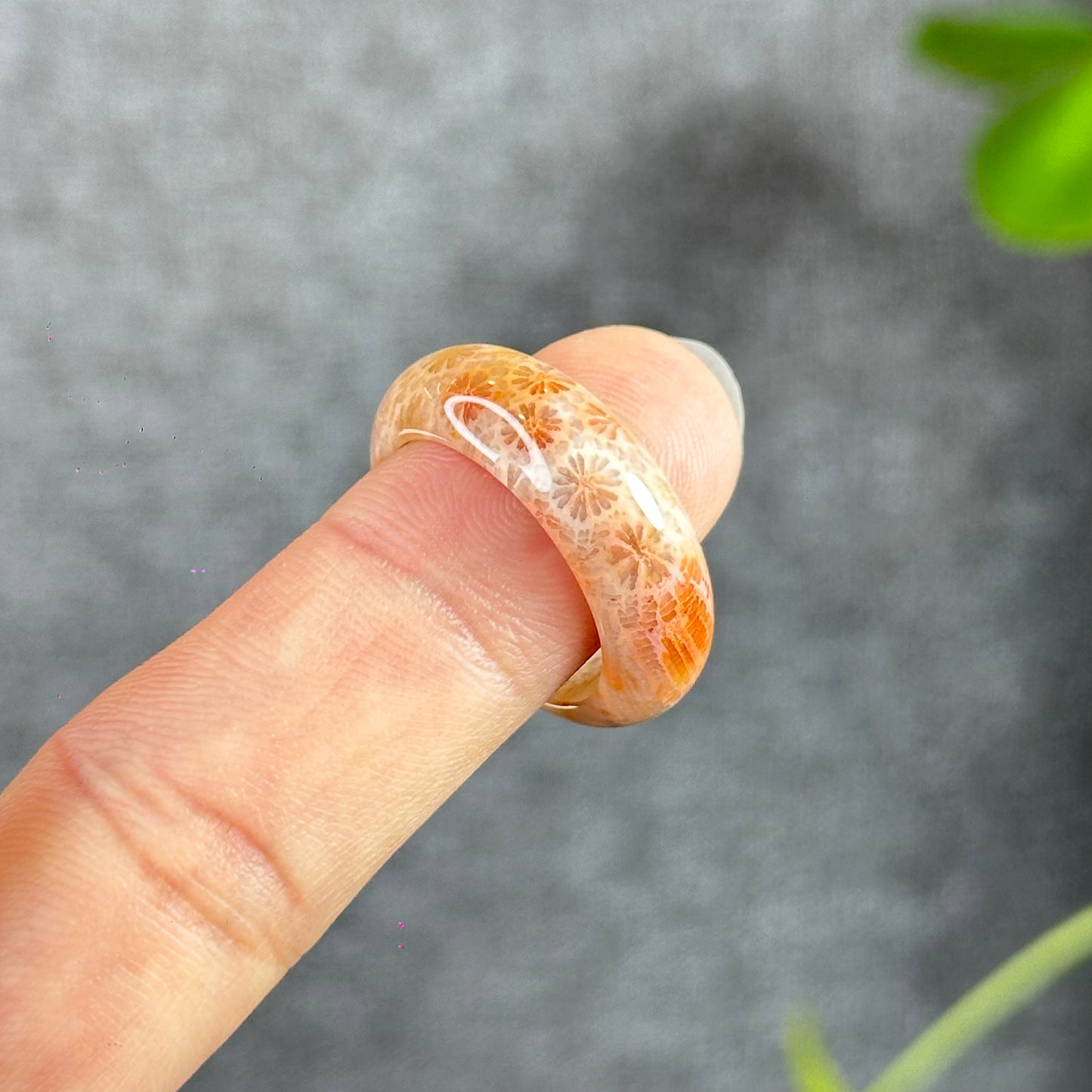 Coral Fossil Ring Size 1.9