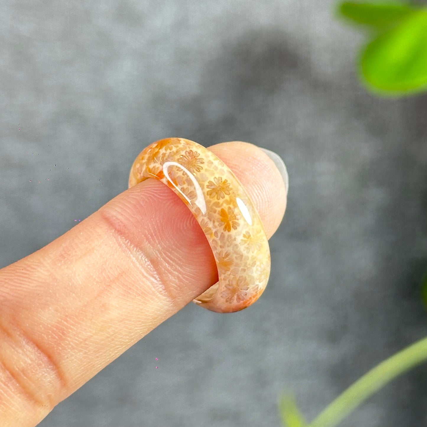 Coral Fossil Ring Size 1.9