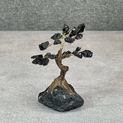 Natural Black Tourmaline Bonsai Tree with Quartz Black Tourmaline Base