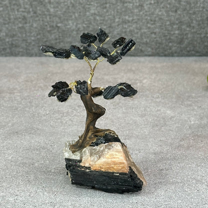Natural Black Tourmaline Bonsai Tree with Quartz Tourmaline Base