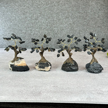 Natural Black Tourmaline Bonsai Tree with Quartz Tourmaline Base