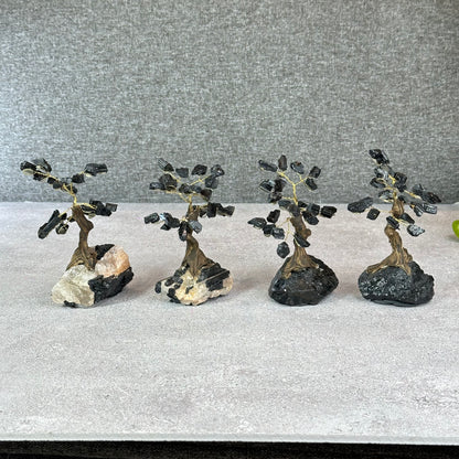 Natural Black Tourmaline Bonsai Tree with Quartz Tourmaline Base