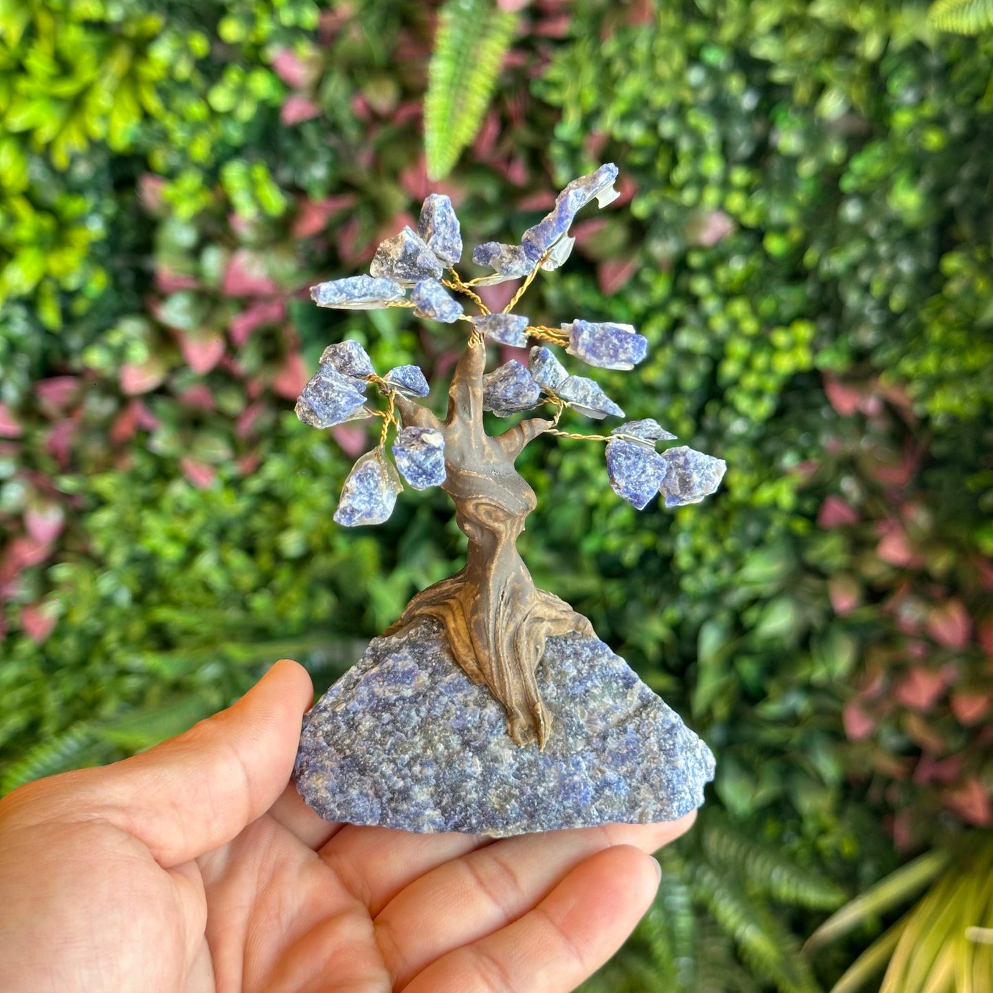 Natural Sodalite Bonsai Tree with Sodalite Base