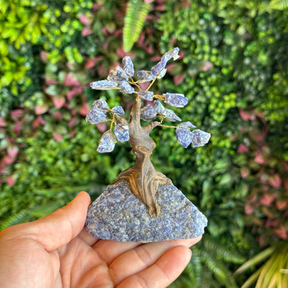 Natural Sodalite Bonsai Tree with Sodalite Base