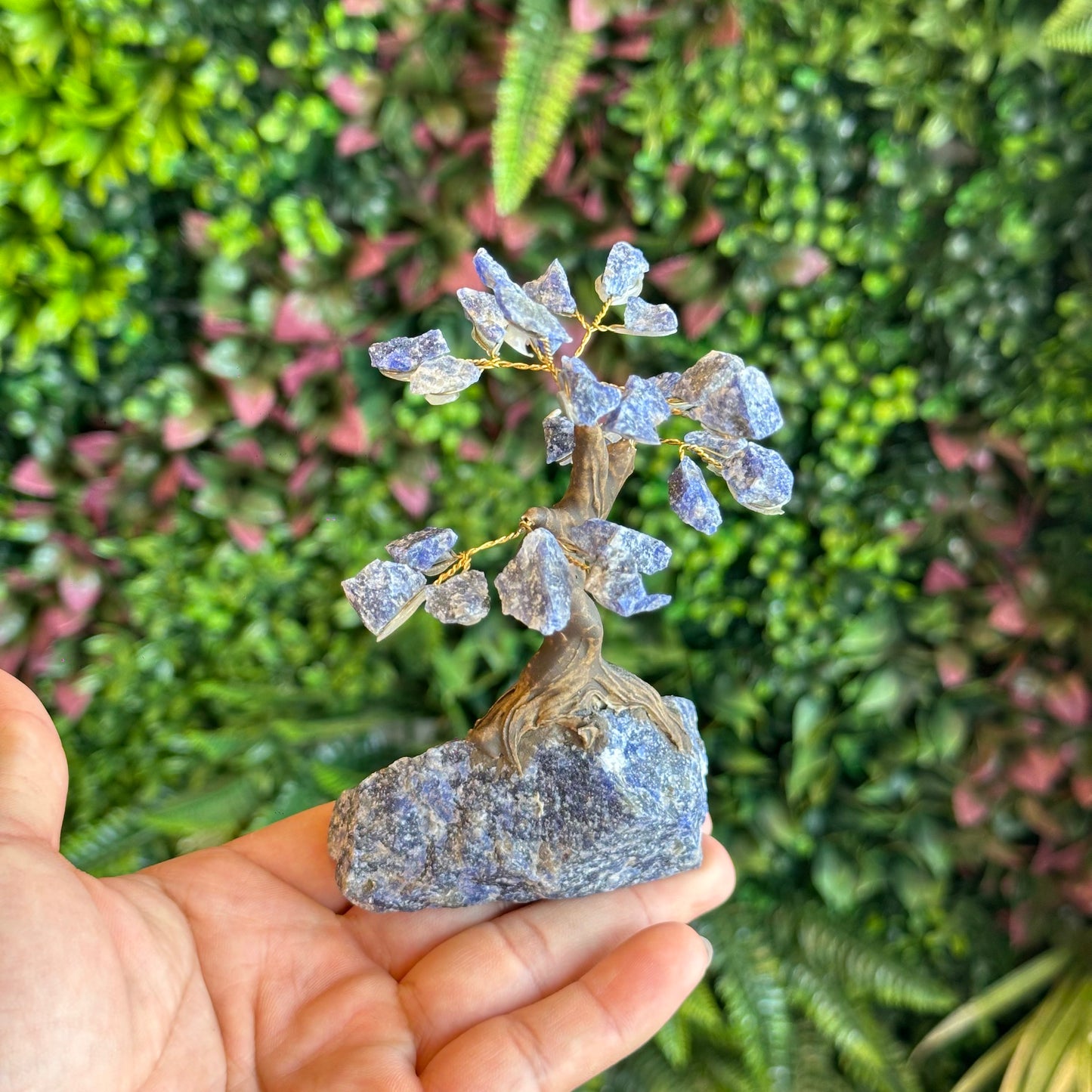 Natural Sodalite Bonsai Tree with Sodalite Base