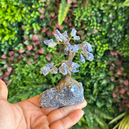 Natural Sodalite Bonsai Tree with Sodalite Base