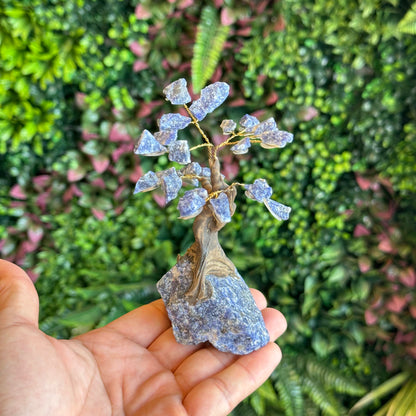 Natural Sodalite Bonsai Tree with Sodalite Base