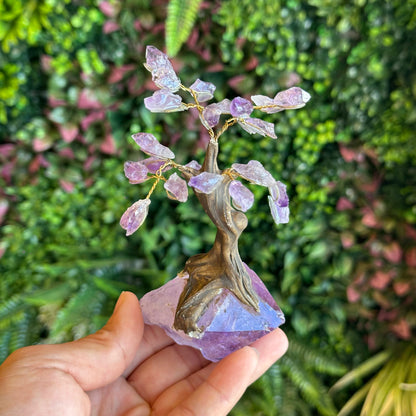 Natural Amethyst Bonsai Tree with Amethyst Base
