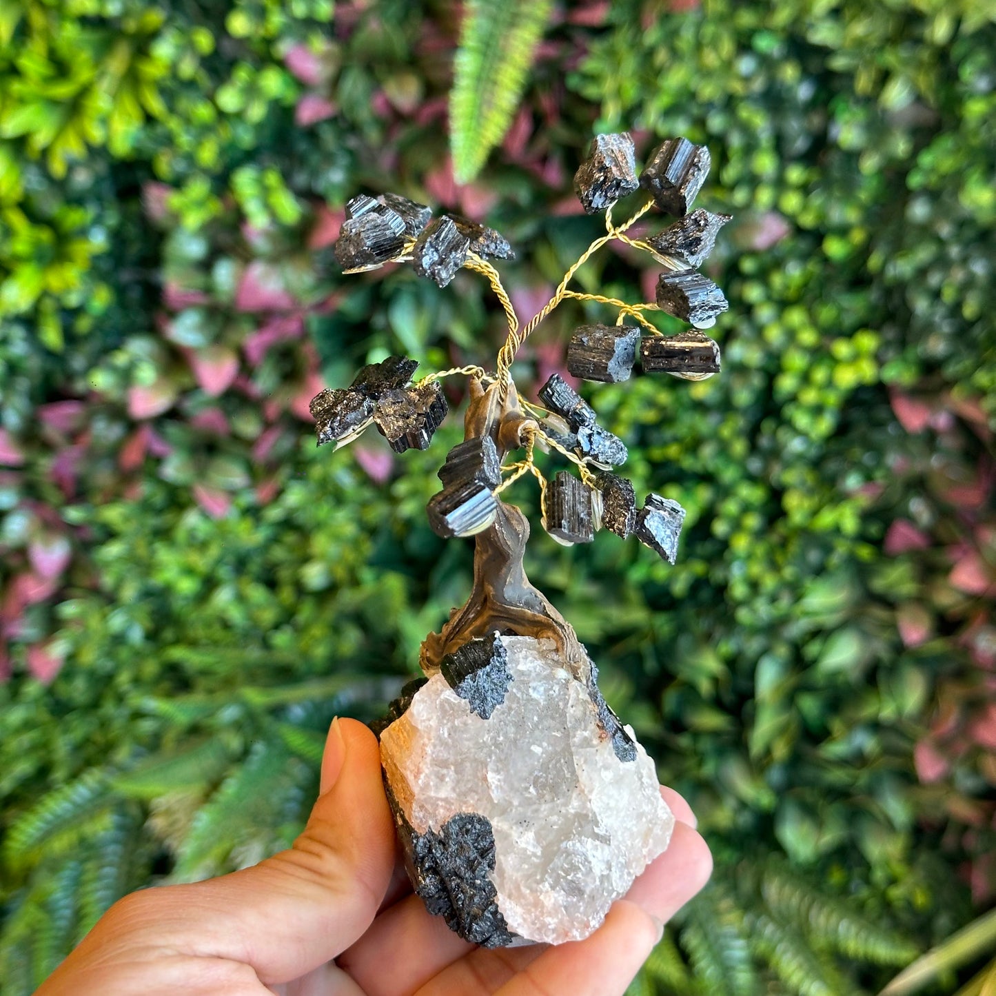 Natural Black Tourmaline Bonsai Tree with Quartz Tourmaline Base