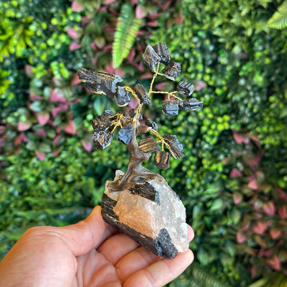 Natural Black Tourmaline Bonsai Tree with Quartz Tourmaline Base