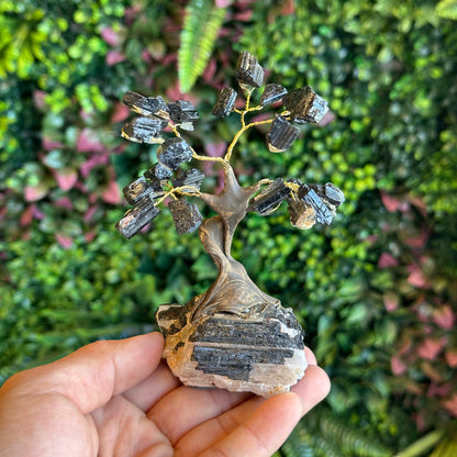 Natural Black Tourmaline Bonsai Tree with Quartz Tourmaline Base