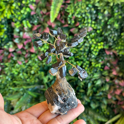 Natural Black Tourmaline Bonsai Tree with Quartz Tourmaline Base