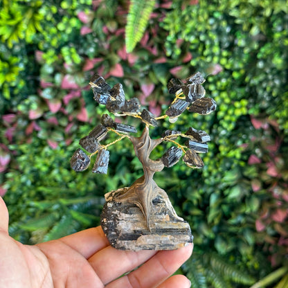Natural Black Tourmaline Bonsai Tree with Quartz Tourmaline Base