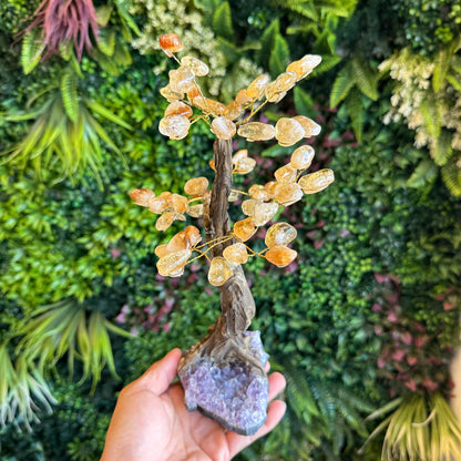 Natural Citrine Bonsai Tree with Amethyst Base