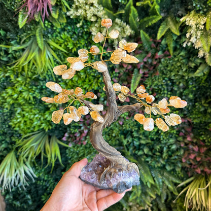 Natural Citrine Bonsai Tree with Amethyst Base