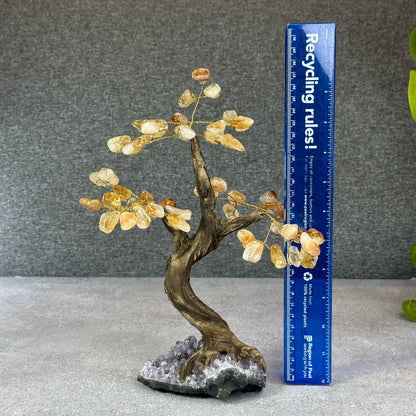 Natural Citrine Bonsai Tree with Amethyst Base