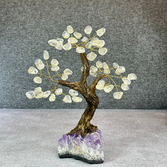 Natural Clear Quartz Bonsai Tree with Amethyst Base