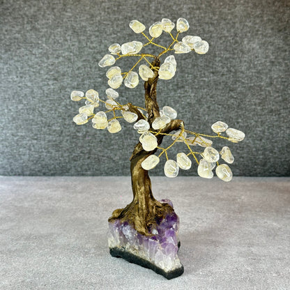 Natural Clear Quartz Bonsai Tree with Amethyst Base