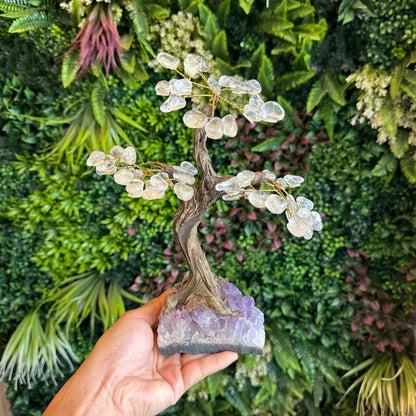 Natural Clear Quartz Bonsai Tree with Amethyst Base